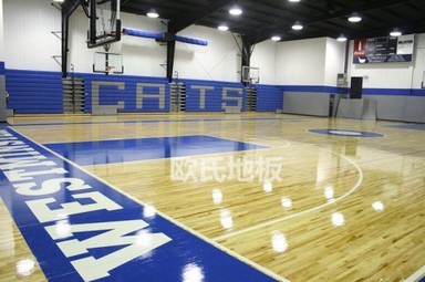 没有运动木地板，那篮球馆就不能称之专业了