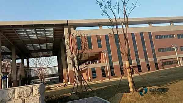 学校篮球场木地板的防火等级