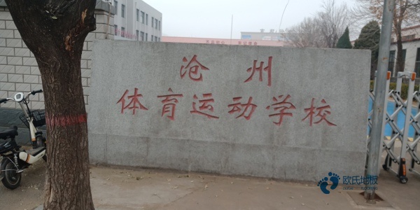 哪里有篮球木地板价格多少