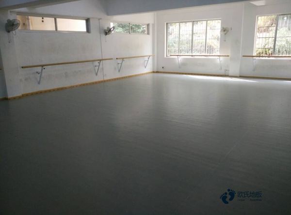 小学篮球运动木地板3