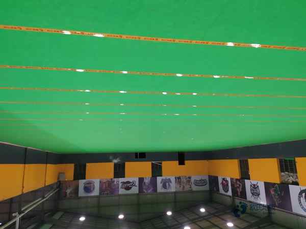 大学运动型木地板施工团队1
