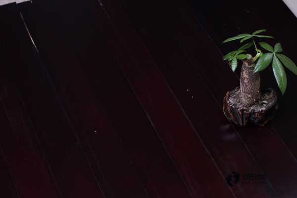 定制运动场地板哪种牌子好2