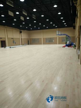 定制体育运动地板行业品牌3