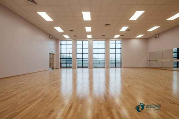 行业体育运动木地板怎么保养